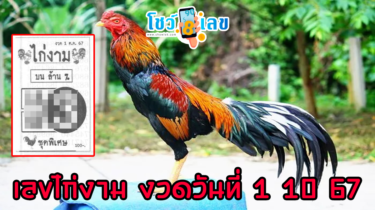 เลขไก่งาม 1 10 67 แนวทางหวยรัฐบาลไทย !! ติดตามเลขเด็ด เเม่นๆ ก่อนใคร ได้ที่นี่ showlek.com