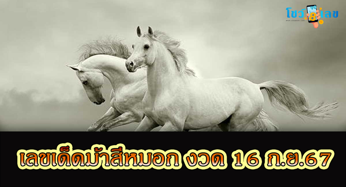 ม้าสีหมอก 16 9 67 แนวทางหวยรัฐบาลไทย !! ติดตามเลขเด็ด เเม่นๆ ก่อนใคร ได้ที่นี่ showlek!!