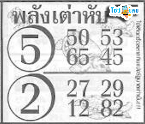 พลังเต่าหับ 16 9 67 -"Turtle power 16 9 67"