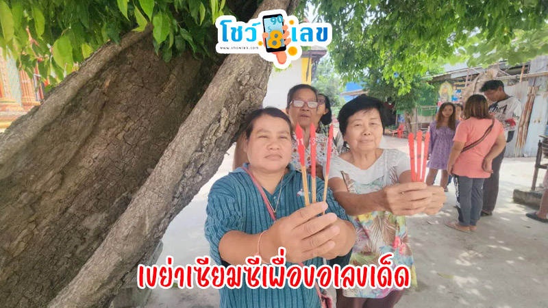 ฝันเห็นดอกพิกุล ทอง-"Dream of seeing Phikun Thong flowers"
