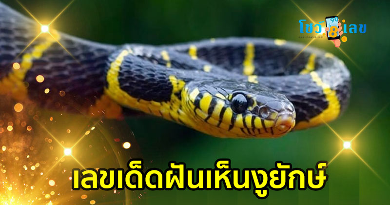 ฝันเห็นงูยักษ์ - "Dream of seeing a giant snake"