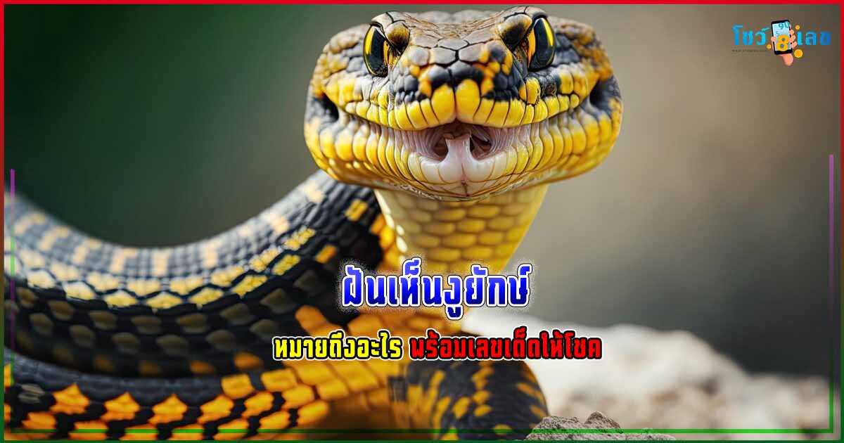 ฝันเห็นงูยักษ์ ห้ามพลาด ทำนายฝัน ฟรี  พร้อมเลขเด็ด แม่น ๆไม่เสียเงิน ที่เกี่ยวกับความฝัน ดูได้เลยที่ showlek.com !