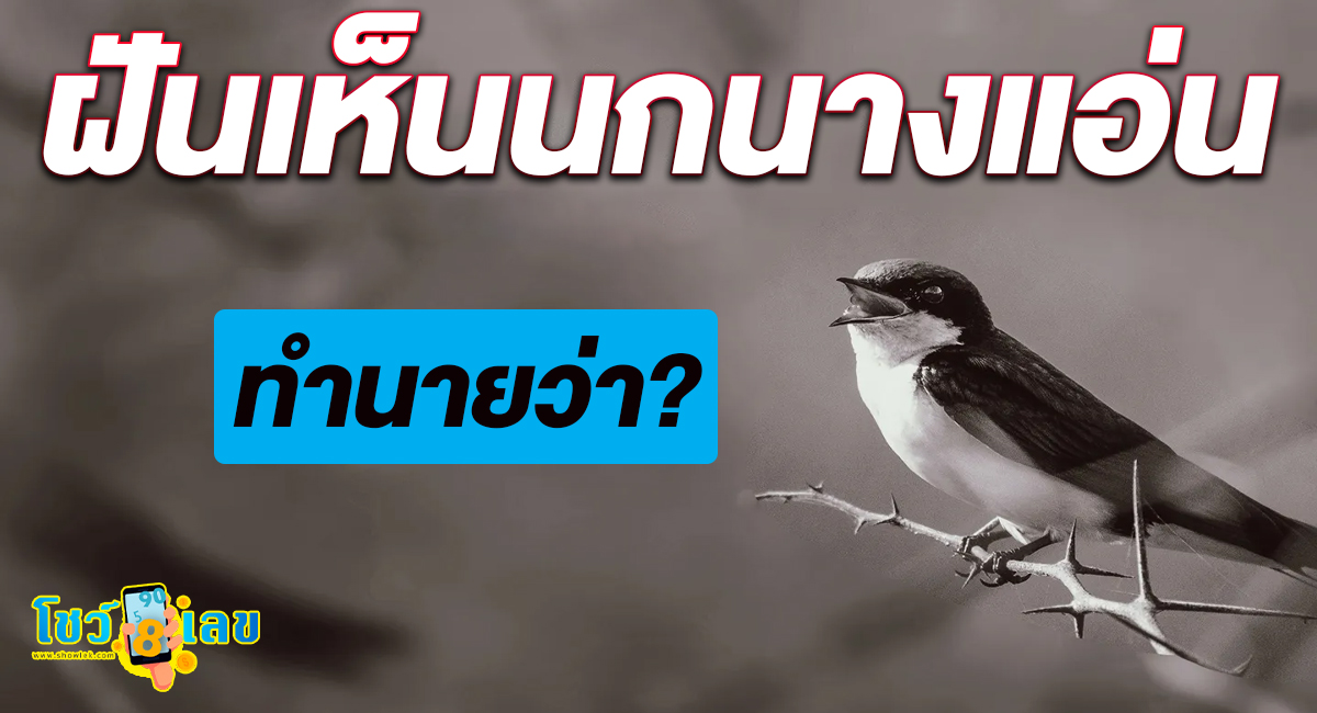 ฝันเห็นนกนางแอ่น ทำนายฝัน การงาน การเงิน ความรัก สุขภาพ พร้อมเลขเด็ด ติดตามได้ที่นี่ showlek !!