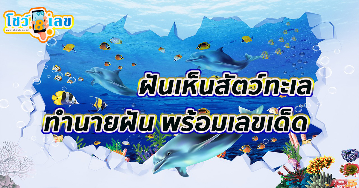 ฝันเห็นสัตว์ทะเล หมายความว่าอย่างไร จะดี หรือ ร้าย หาความหมายพร้อม เลขเด็ดให้โชค!! เช็กเลยที่ showlek
