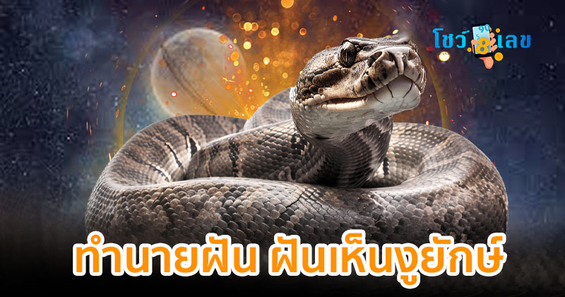 ฝันเห็นงูตัวใหญ่มาก 1 ตัว - "Dreamed of seeing a very large snake"