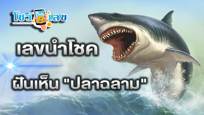 ฝันเห็นฉลามจะกัด - "Dreaming about a shark biting you"
