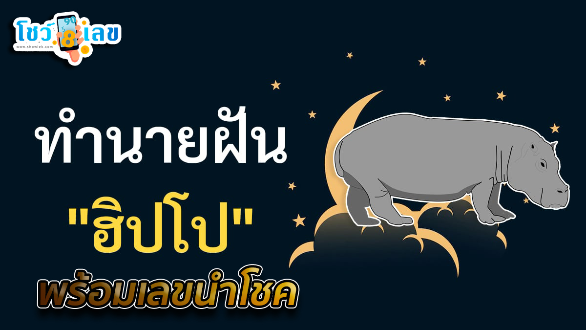 ฝันเห็นฮิปโป -"Dream of seeing a hippo"