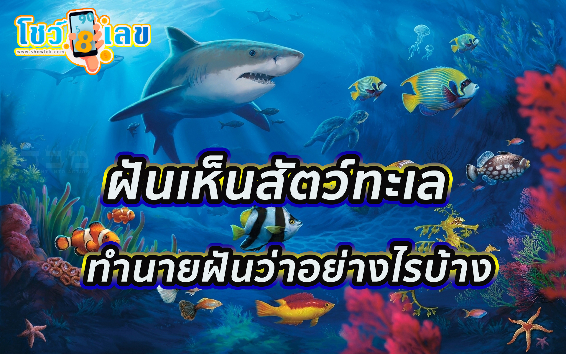 ฝันเห็นปลาเยอะมาก เลขเด็ด -"Dreaming of seeing a lot of fish, lucky numbers"