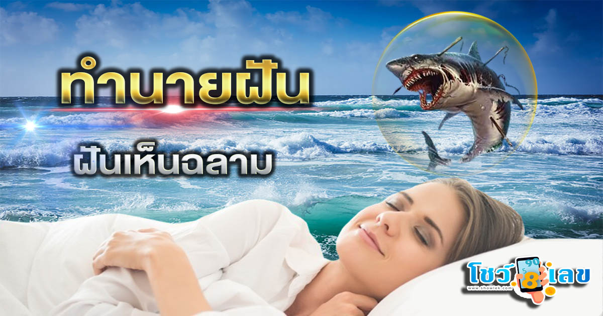 ฝันเห็น ฉลาม  หมายความว่าอย่างไร พร้อมเลขเด็ด แม่นๆ ที่ควรรู้เกี่ยวกับความฝัน ห้ามพลาด เช็กฟรี!