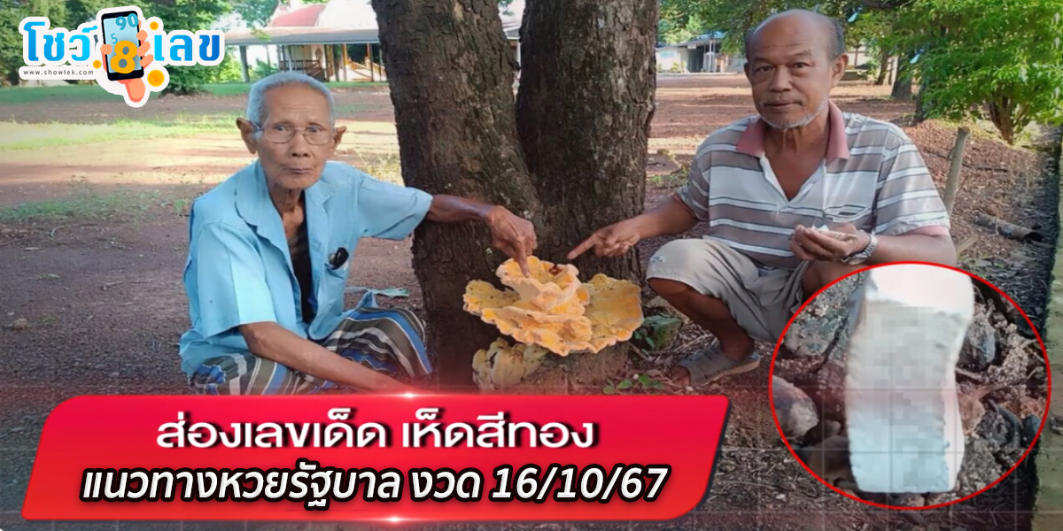 ส่องเลขเด็ด เห็ดสีทอง แม่ค้าจุดธูปเสี่ยงทาย ถึงกับอุทาน เลขตรงหวยชุด แนวทางหวยรัฐบาล งวด 16/10/67