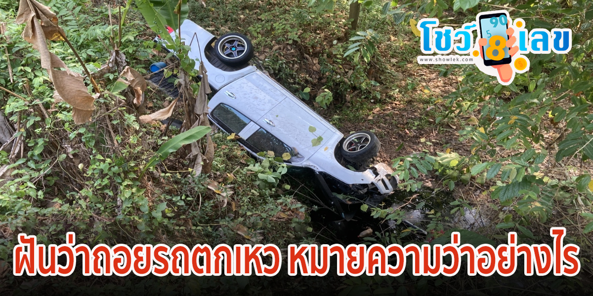ฝันว่าถอยรถตกเหว หมายความว่าอย่างไร จะดี หรือ ร้าย หาความหมายพร้อม เลขเด็ดให้โชค!! เช็กเลยที่ showlek