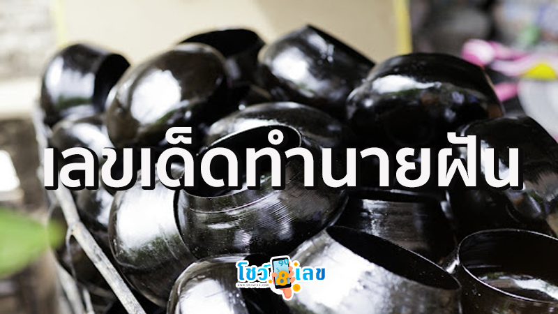 ทำนานฝัน เลขเด็ด-"Long dream, lucky number"