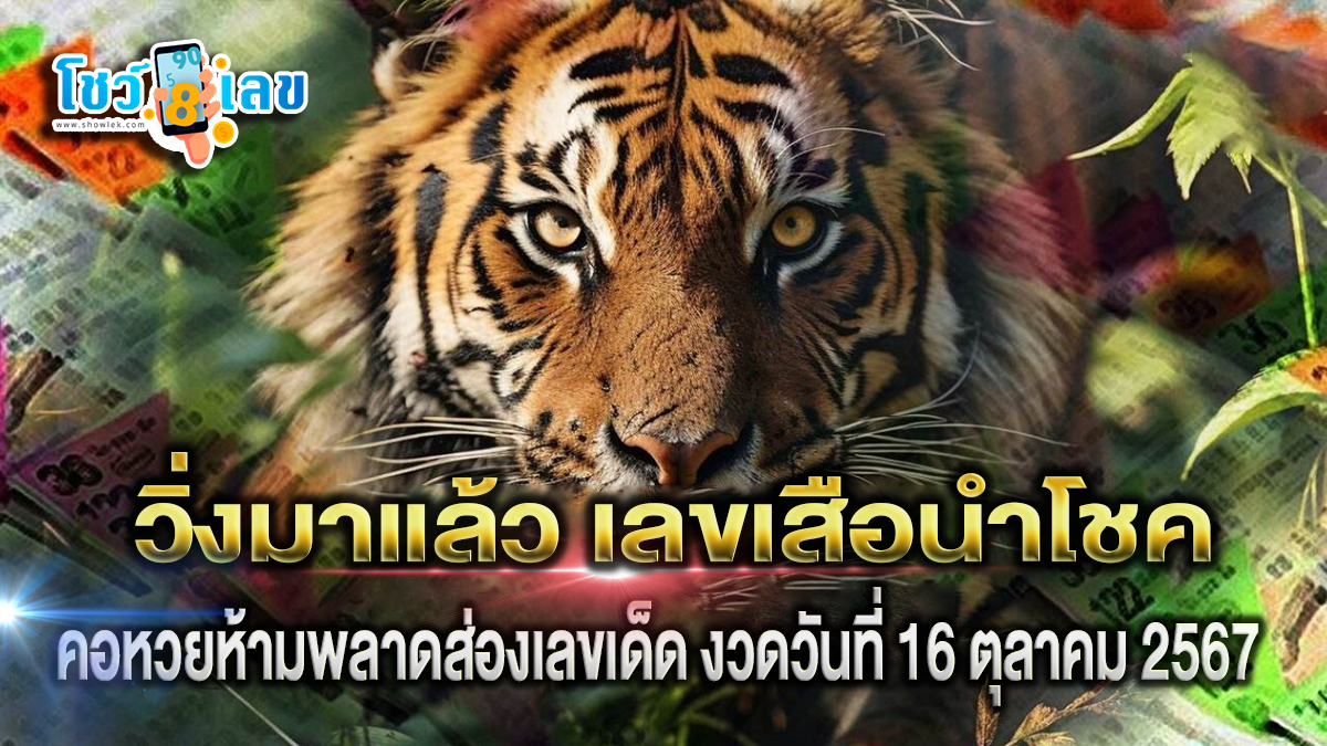 เลขเสือนำโชค 16 10 67 คอหวยห้ามพลาดส่องเลขเด็ด แนวทางหวยรัฐบาลไทยแม่น ๆ รีบจดด่วน !!