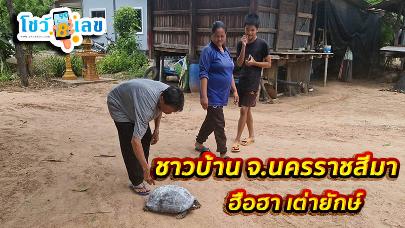 แห่ส่องเลข เต่ายักษ์-''Parade to look at giant turtle numbers''