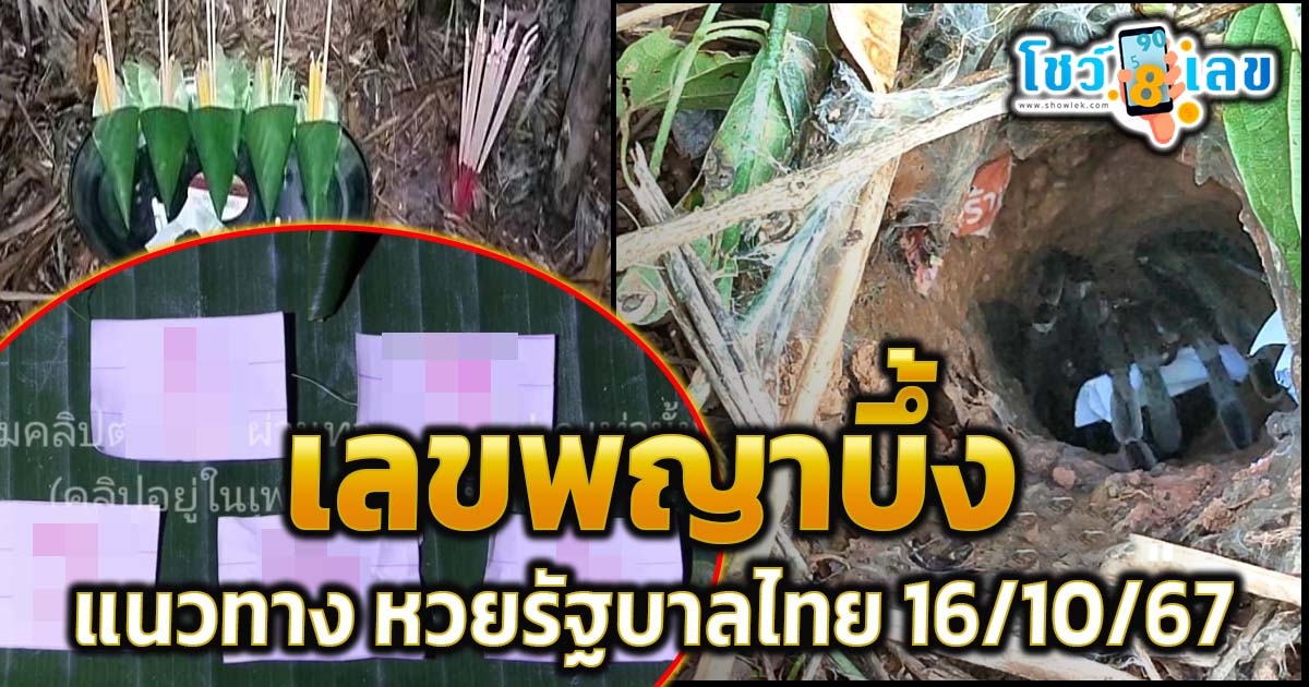 เลขเด็ด หวยดัง เลขพญาบึ้ง 16 10 67 แนวทางหวยรัฐบาลไทย แม่นๆ เข้าทุกงวด ติดตามก่อนใคร เช็กเลย!!!