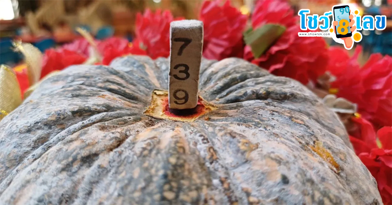 เลขเด็ดแพะรับบาป-"Scapegoat lucky number"