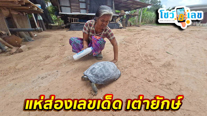 เลขงวดนี้-''This period number''