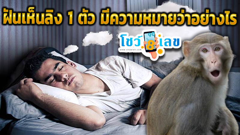 ฝันเห็นลิง 1 ตัว -"Dream of seeing a monkey"