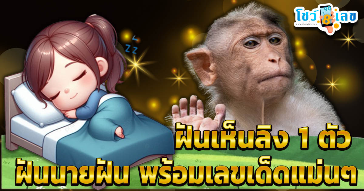 ฝันเห็นลิง 1 ตัว หมายความว่าอย่างไร ทำนายฝันพร้อมเลขเด็ด แม่นๆ แจกฟรี !! ไม่เสียเงิน