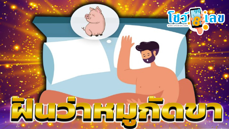 ฝันว่าหมูกัดขา-"Dream of seeing a pig bite"