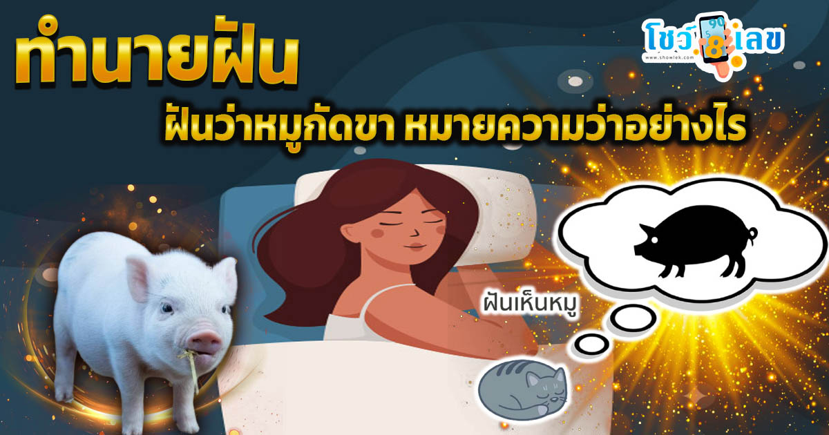 เปิดคำทำนาย  ฝันว่าหมูกัดขา ฝันเห็นหมู พร้อมตีเลขเด็ดจากความฝัน แม่นๆ เช็กฟรี ไม่เสียเงิน ห้ามพลาดเด็ดขาด !!