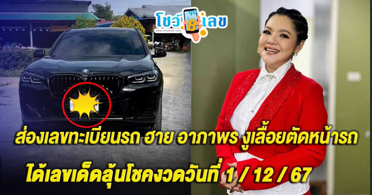 ส่องเลขเด็ดฟรี!! ฮาย อาภาพร เจองูเลื้อยตัดหน้ารถ เห็นชัดๆ เต็มตา คอหวยขอเลขทะเบียน ลุ้นโชคงวดวันที่ 1 / 12 /67