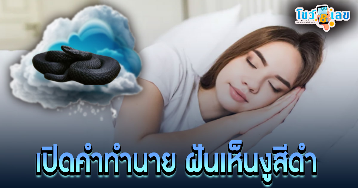 ฝันเห็นงูสีดำ ฝันเห็นงูสีดํา ไม่กัด หมายความว่าอย่างไร ทำนายฝันพร้อมเลขเด็ด แม่นๆ แจกฟรี !! ไม่เสียเงิน
