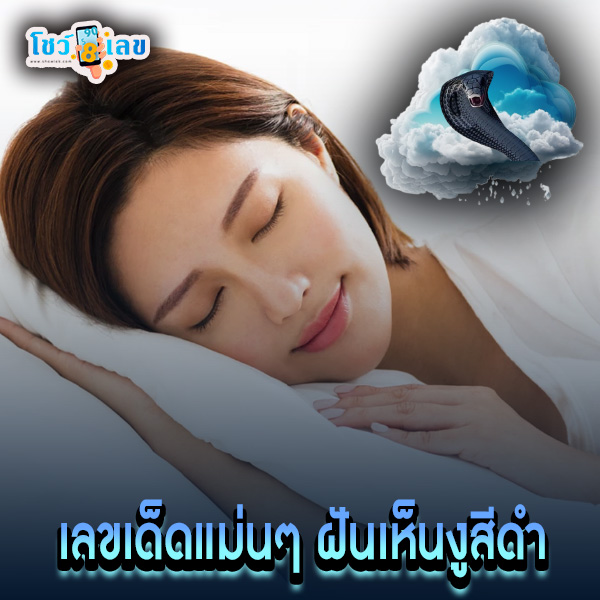 ฝันเห็นงูสีดํา ไม่กัด -"I dreamed of a black snake that didn't bite me."