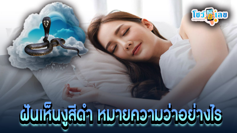 ฝันเห็นงูสีดำ -"I dreamed of a black snake."