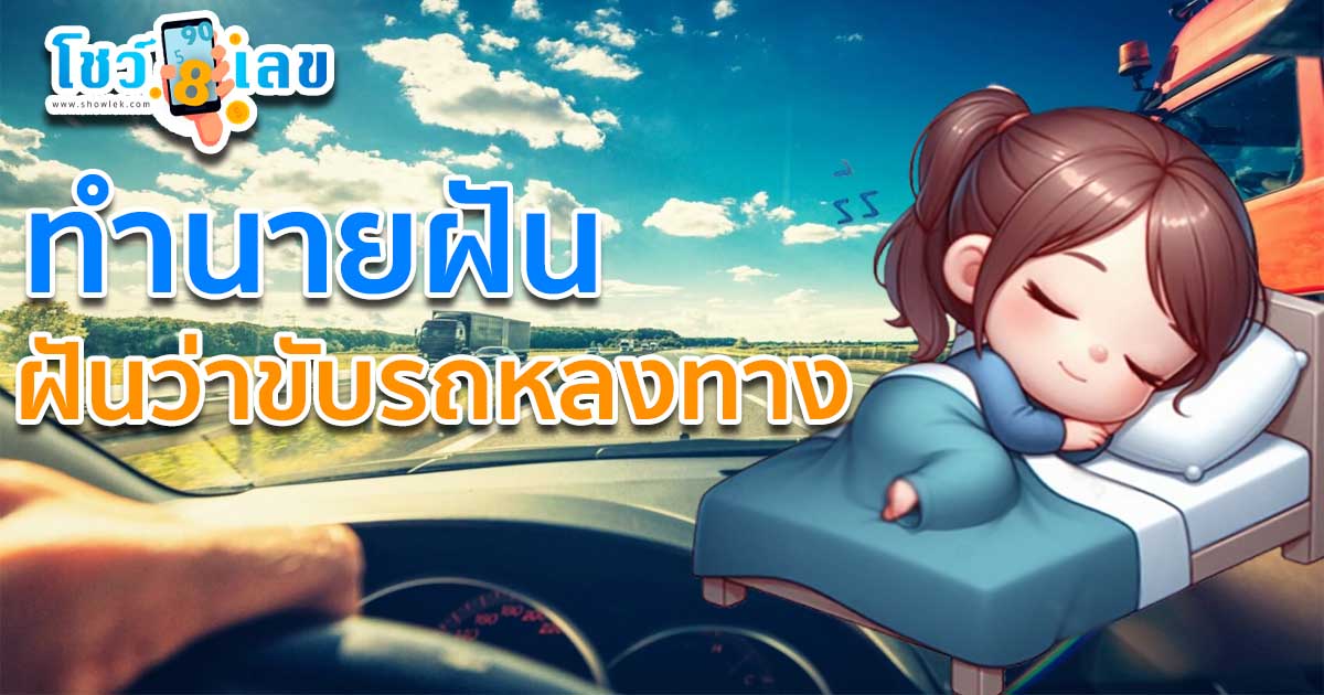 เปิดคำทำนาย ฝันว่าขับรถหลงทาง พร้อมตีเลขเด็ดจากความฝัน แม่นๆ เช็กฟรี ไม่เสียเงิน สามูห้ามพลาดเด็ดขาด