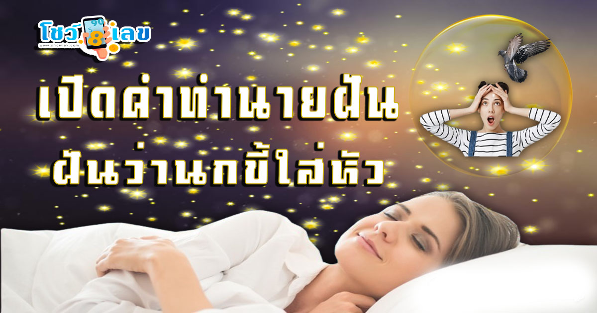 เปิดคำทำนาย ฝันว่านกขี้ใส่หัว พร้อมตีเลขเด็ดจากความฝัน แม่นๆ เช็กฟรี ไม่เสียเงิน ห้ามพลาดเด็ดขาด !!