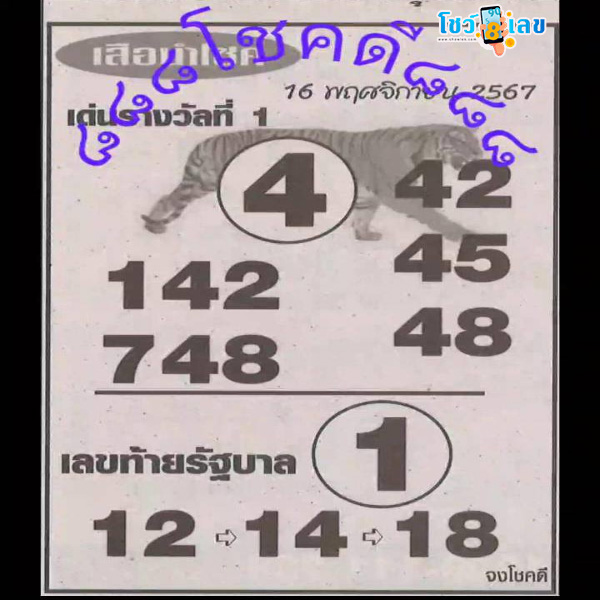 เสือนำโชค 16 11 67 -"Lucky Tiger 16 11 67"