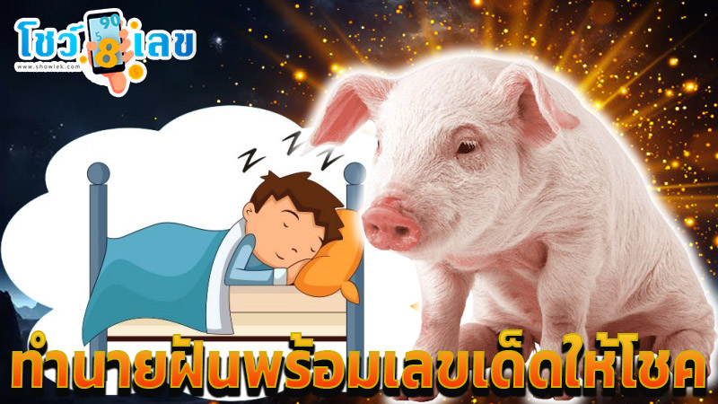 เลขเด็ดฝันเห็นหมูกัด-"Lucky numbers for dreaming about seeing a pig bite"