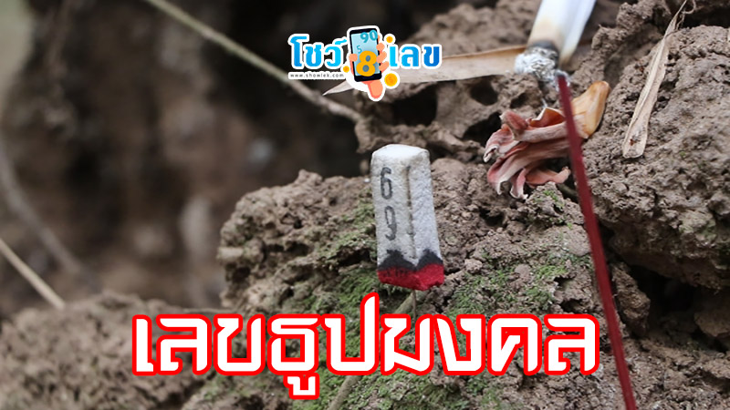 เลขเด็ด ที่สุดในโลก-"The-best-lucky-number-in-the-world"