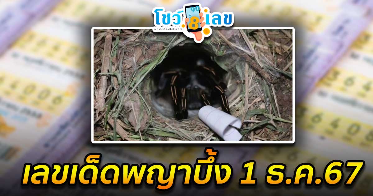 แจกเลขเด็ด เลขดัง ฟรี !! เลขพญาบึ้ง 1 12 67 แนวทางหวยรัฐบาลไทย เเม่น ๆ ที่คอหวย ห้ามพลาด !!