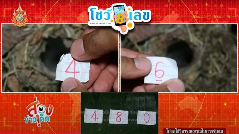 เลขพญาบึ้ง 1 12 67-"The number of the bee is"