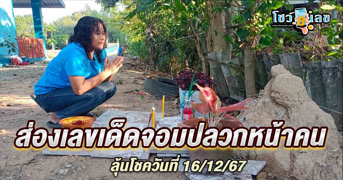 ฮือฮา! แห่ต่อคิวแก้บนจอมปลวกหน้าคน ให้โชคสุดปังถูกหวยรวยนับแสนบาท พร้อมแนวทางเลขเด็ด ฟรี ที่นี่!