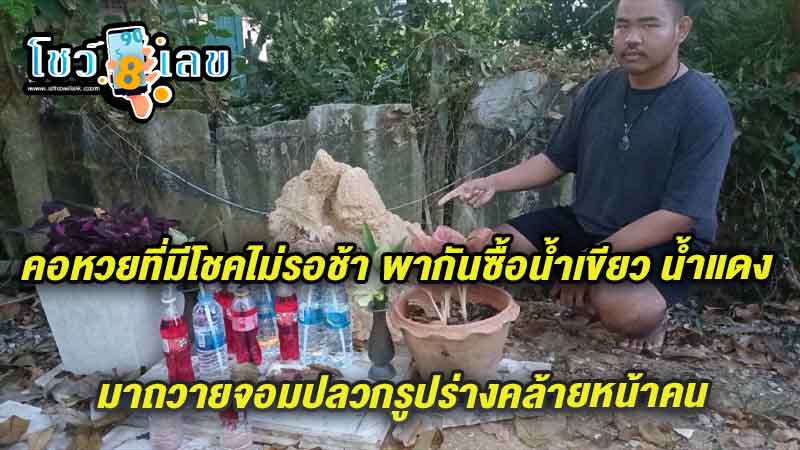 จอมปลวกหน้าคน-"An anthill with a human face"