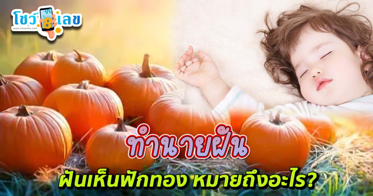 ฝันเห็นฟักทอง -"Dream of seeing a pumpkin"