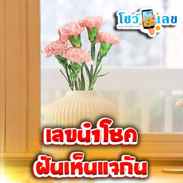 ฝันเห็นแจกันใบใหญ่-''Dream of seeing a large vase''