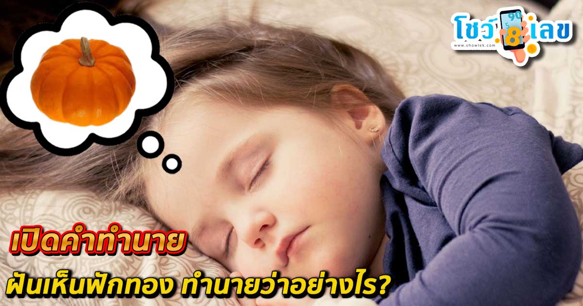 เปิดคำทำนาย ฝันเห็นฟักทอง ทำนายว่าอย่างไร? พร้อมเลขเด็ดให้โชค แม่นๆ เช็กฟรี ไม่เสียเงิน