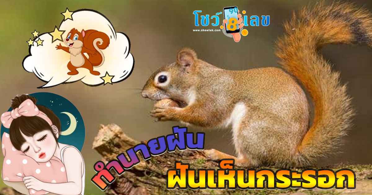 ฝันเห็นกระรอก หมายความว่าอย่างไร สิ่งที่ควรรู้เกี่ยวกับความฝัน พร้อมเลขเด็ด แม่นๆ แจกฟรี !! ห้ามพลาด