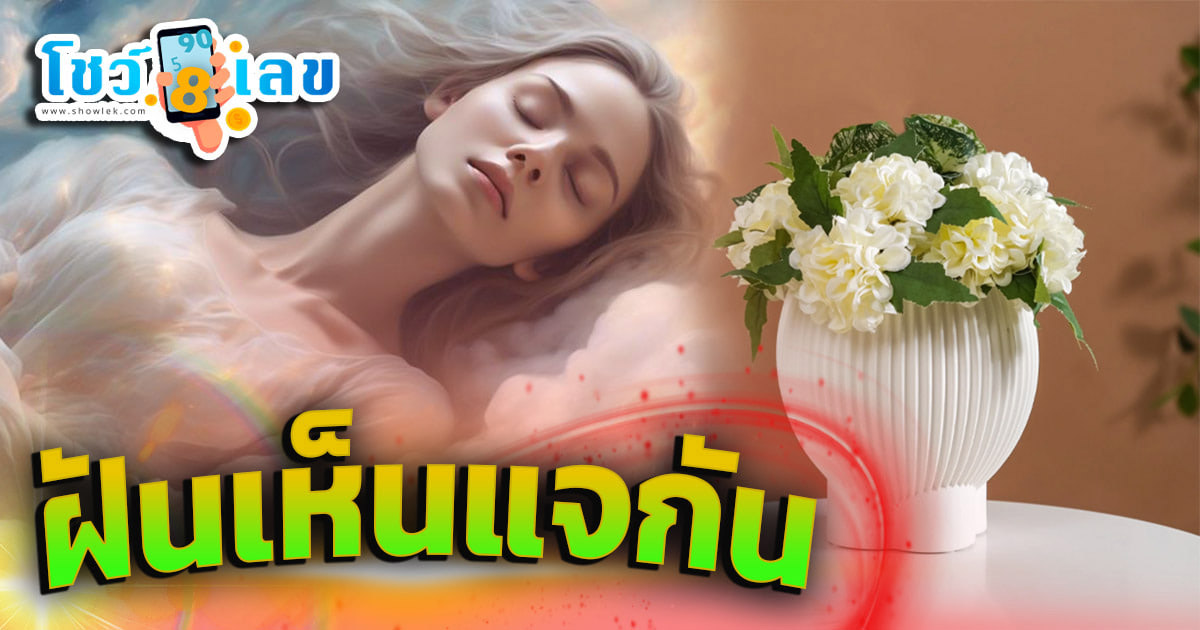 ฝันเห็นแจกัน หมายความว่าอย่างไร สิ่งที่ควรรู้เกี่ยวกับความฝัน พร้อมเลขเด็ด แม่นๆ แจกฟรี !! ห้ามพลาด
