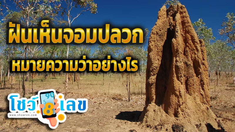 ฝันเห็นจอมปลวก-''Dream of seeing an anthill''