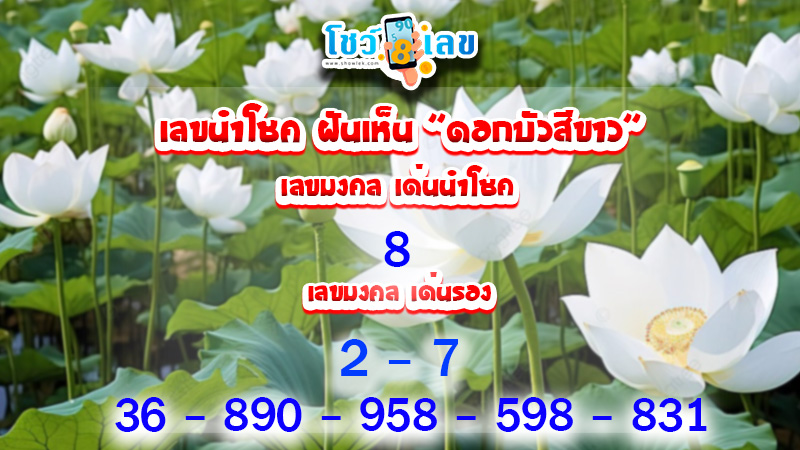 ฝันเห็นดอกบัวเยอะมาก-"Dreamed of seeing a lot of lotus flowers"