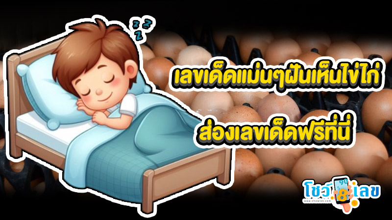 ฝันเห็นไข่ไก่เป็นแผง -"I dreamed of seeing a tray of chicken eggs."
