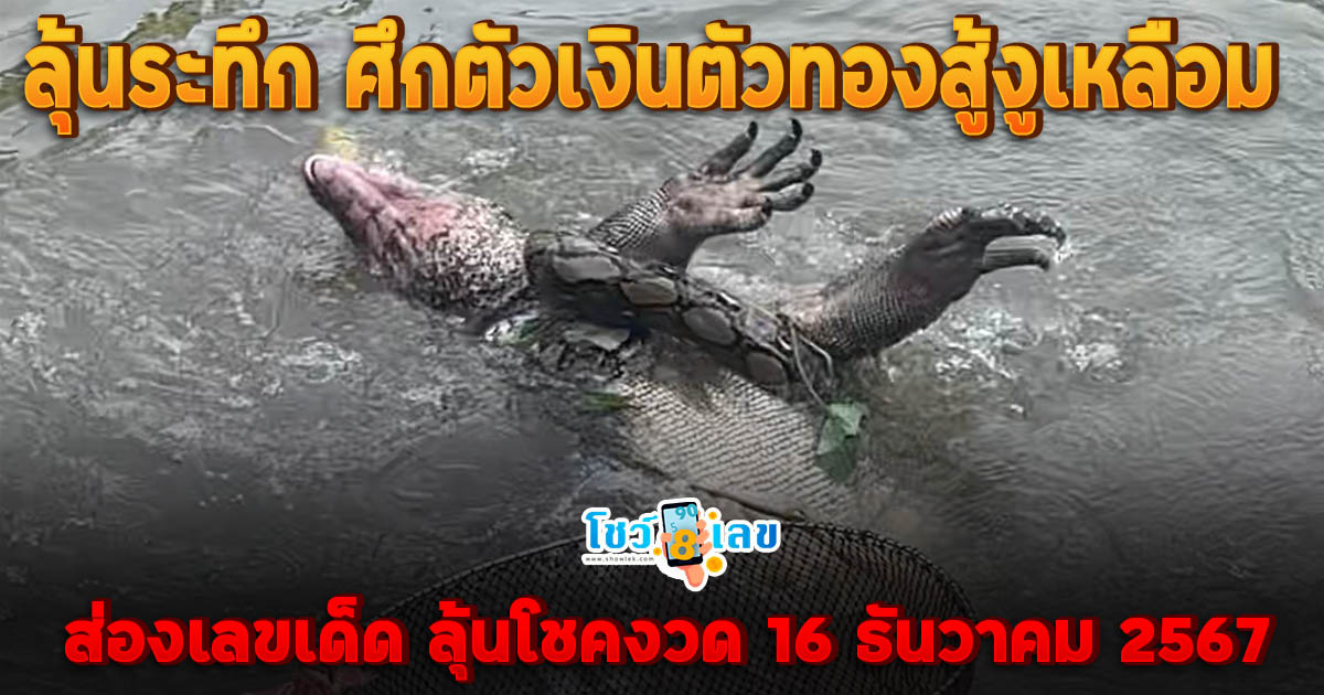 ลุ้นระทึก ศึกตัวเงินตัวทองสู้งูเหลือม กอดรัดฟัดเหวี่ยงลอยน้ำผ่านร้านอาหาร คอหวยไม่พลาด !!  ส่องเลขเด็ดร้านอาหาร เสี่ยงโชคงวัดวันที่ 16/12/67