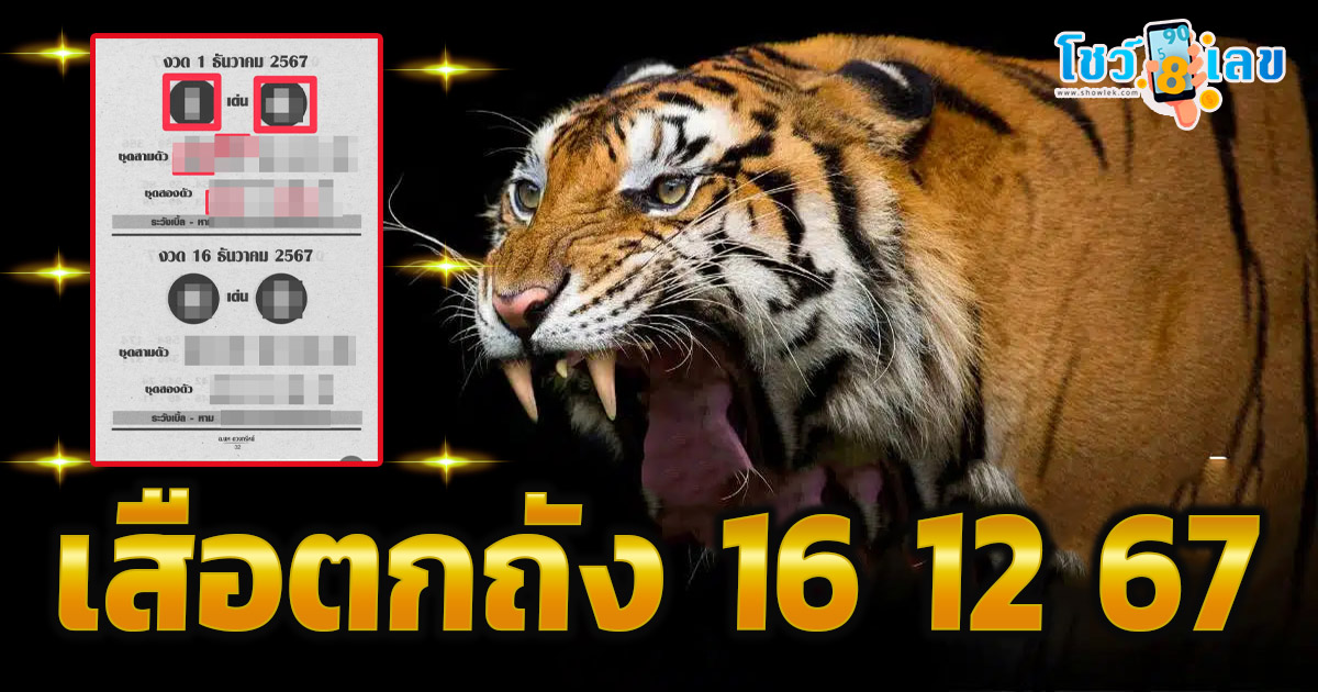 ปล่อยออกมาแล้ว คอหวยห้ามพลาด!! เสือตกถัง 16 12 67 แนวทางหวยรัฐบาลไทย เเม่น ๆ