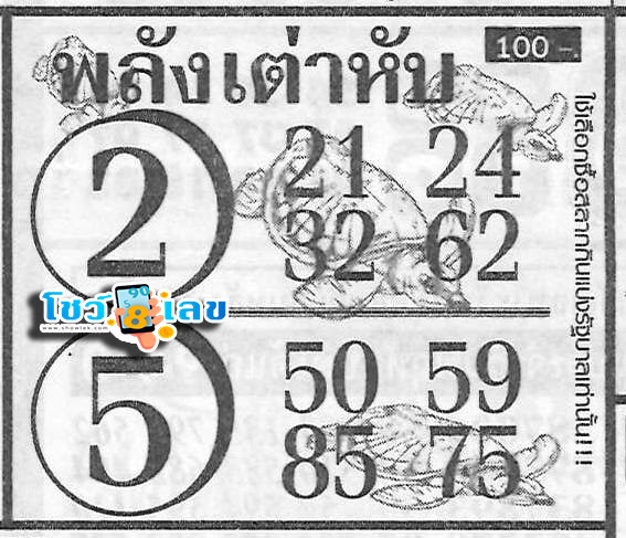 เลขพลังเต่าหับ 2 01 68 - "Turtle power number 2 01 68"