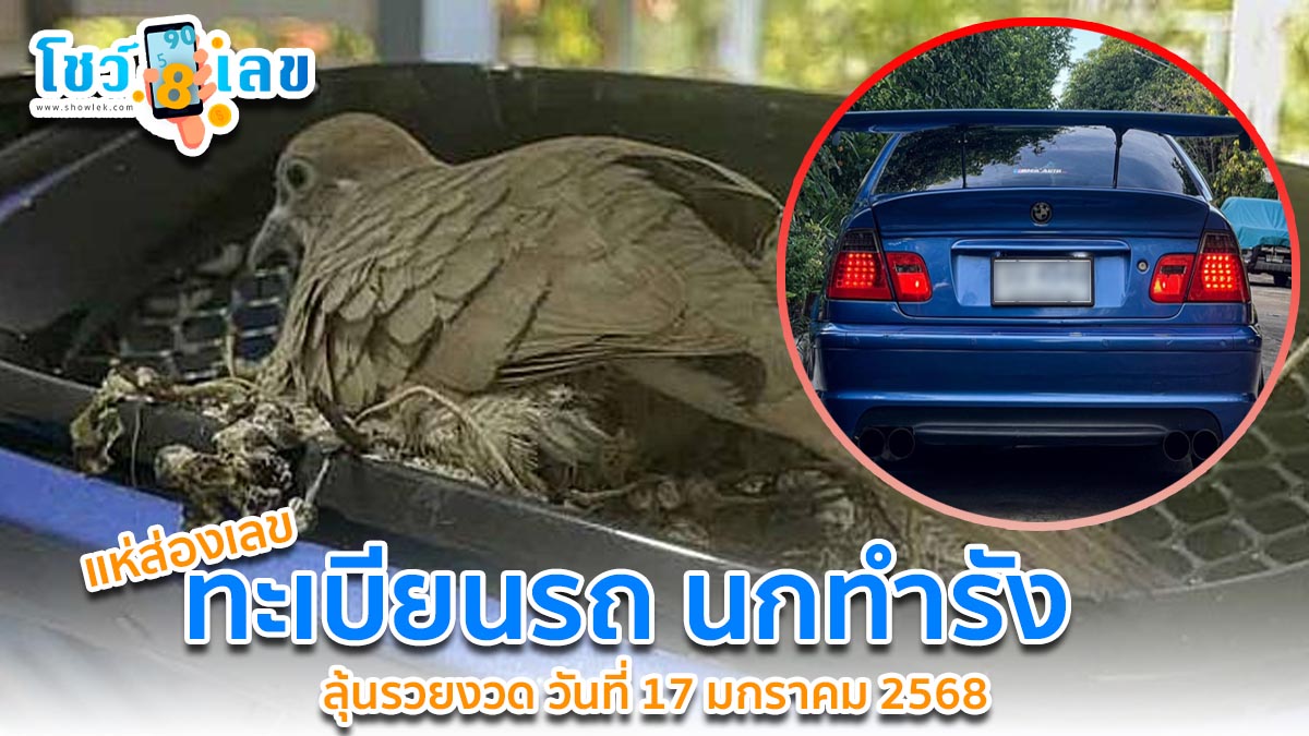 แห่ถามเลขทะเบียน เจ้าของใจดี ไม่กล้าขับรถนานร่วมเดือน หลังแม่นกบินมาทำรังกกไข่ รอฟักลูก คอหวยไม่พลาดส่องเลขเด็ดลุ้นรวยงวด 17 ม.ค. 68